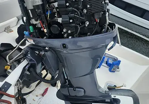 Compound & Wax Service