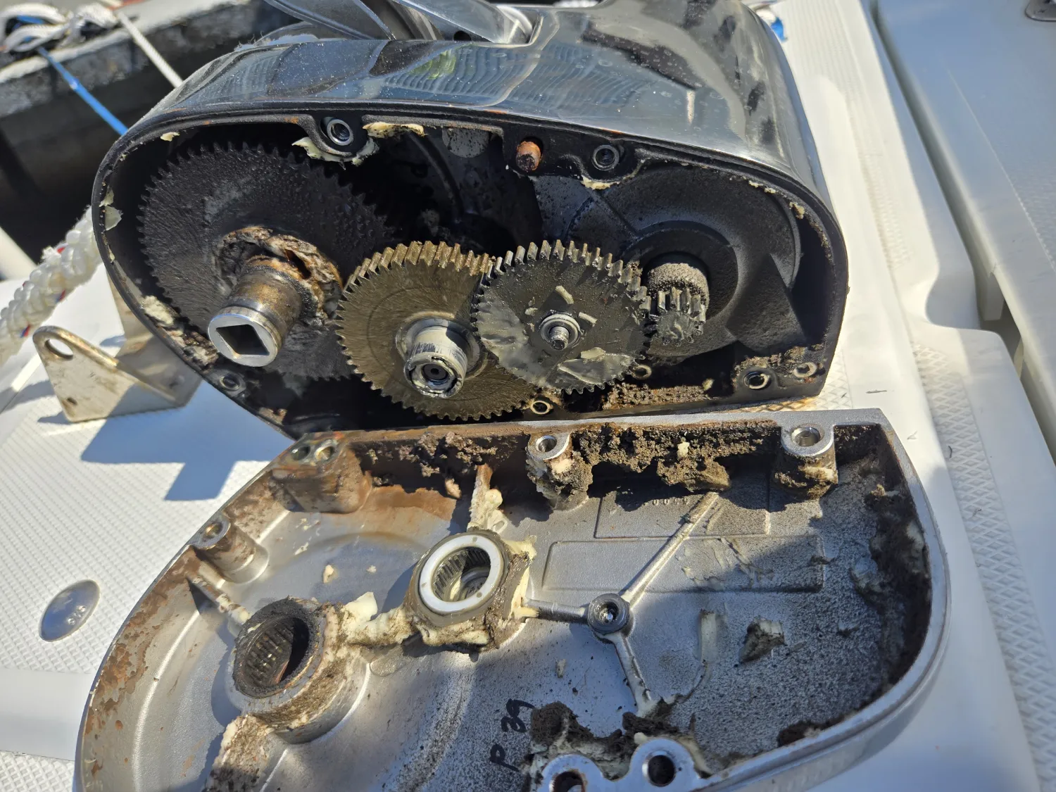 Gears on the deck are inspected by Marine Kings of Miami using marine engine diagnostics.